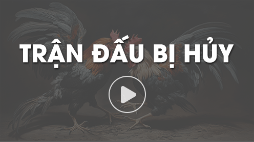 tran-dau-huy