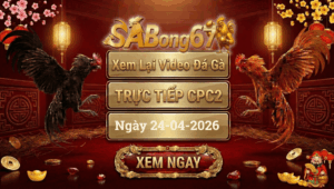 Phát Lại Đá Gà CPC2 Trực Tiếp Ngày 24/04/2026