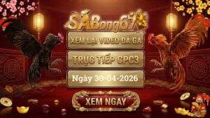 Phát Lại Đá Gà CPC3 Trực Tiếp Ngày 30/04/2026