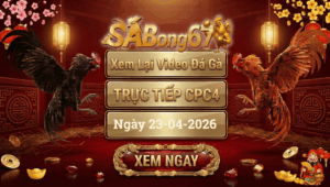 Phát Lại Đá Gà CPC4 Trực Tiếp Ngày 23/04/2026