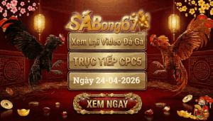 Phát Lại Đá Gà CPC5 Trực Tiếp Ngày 24/04/2026