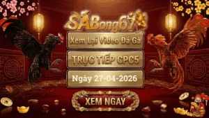 Phát Lại Đá Gà CPC5 Trực Tiếp Ngày 27/04/2026