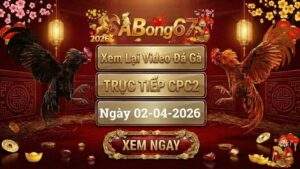 Xem Lại Video Đá Gà CPC2 Trực Tiếp Ngày 02/04/2026