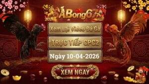 Xem Lại Video Đá Gà CPC2 Trực Tiếp Ngày 10/04/2026
