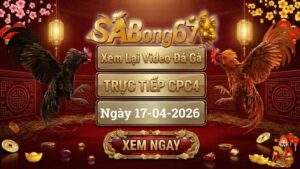 Xem Lại Video Đá Gà CPC4 Trực Tiếp Ngày 17/04/2026