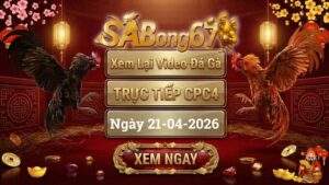 Xem Lại Video Đá Gà CPC4 Trực Tiếp Ngày 21/04/2026