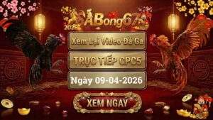 Xem Lại Video Đá Gà CPC5 Trực Tiếp Ngày 09/04/2026