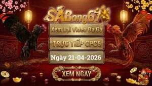 Xem Lại Video Đá Gà CPC5 Trực Tiếp Ngày 21/04/2026