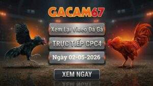 Phát Lại Full Video Đá Gà CPC4 Ngày 02/05/2026