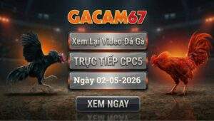 Phát Lại Full Video Đá Gà CPC5 Ngày 02/05/2026