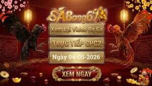 Phát Lại Video Đá Gà CPC2 Ngày 04/05/2026