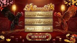 Phát Lại Video Đá Gà CPC2 Ngày 14/05/2026