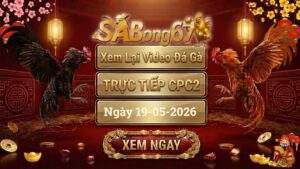 Phát Lại Video Đá Gà CPC2 Ngày 19/05/2026