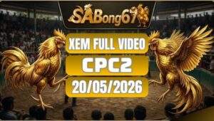 Phát Lại Video Đá Gà CPC2 Ngày 20/05/2026