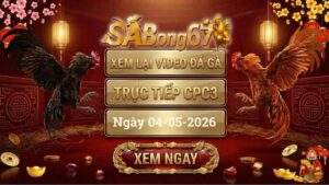 Phát Lại Video Đá Gà CPC3 Ngày 04/05/2026