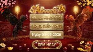 Phát Lại Video Đá Gà CPC3 Ngày 09/05/2026