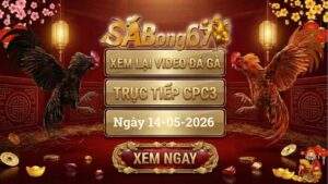 Phát Lại Video Đá Gà CPC3 Ngày 14/05/2026