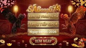 Phát Lại Video Đá Gà CPC4 Ngày 04/05/2026