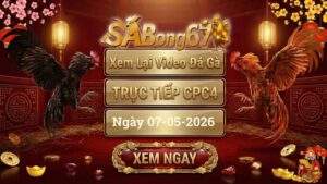 Phát Lại Video Đá Gà CPC4 Ngày 07/05/2026