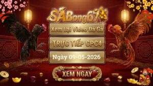 Phát Lại Video Đá Gà CPC4 Ngày 09/05/2026
