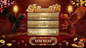 Phát Lại Video Đá Gà CPC5 Ngày 09/05/2026