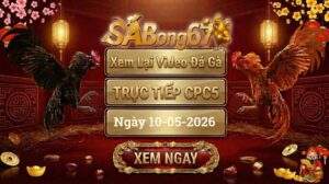 Phát Lại Video Đá Gà CPC5 Ngày 10/05/2026