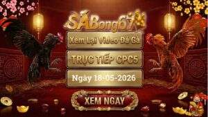 Phát Lại Video Đá Gà CPC5 Ngày 18/05/2026