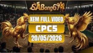 Phát Lại Video Đá Gà CPC5 Ngày 20/05/2026