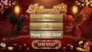 Phát Lại Video Đá Gà CPC2 Ngày 11/05/2026