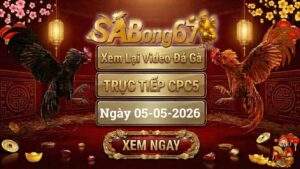 Phát Lại Video Đá Gà CPC5 Ngày 05/05/2026