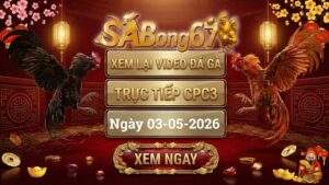Phát Lại Full Video Đá Gà CPC3 Ngày 03/05/2026