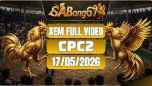 Xem Full Video Đá Gà CPC2 Ngày 17/05/2026 Cùng SABONG67